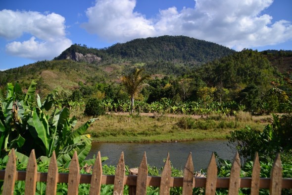 ob_109e37_20130918-ranomafana-et-sa-foret-tropicale-1